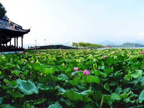 浙江省