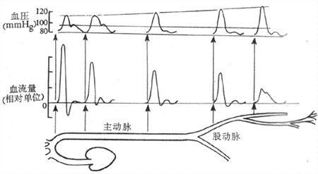 外周阻力